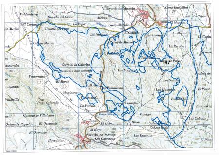 Imagen Autorización para el aprovechamiento micológico en el monte de utilidad pública Nº 97 de Villaverde de Montejo